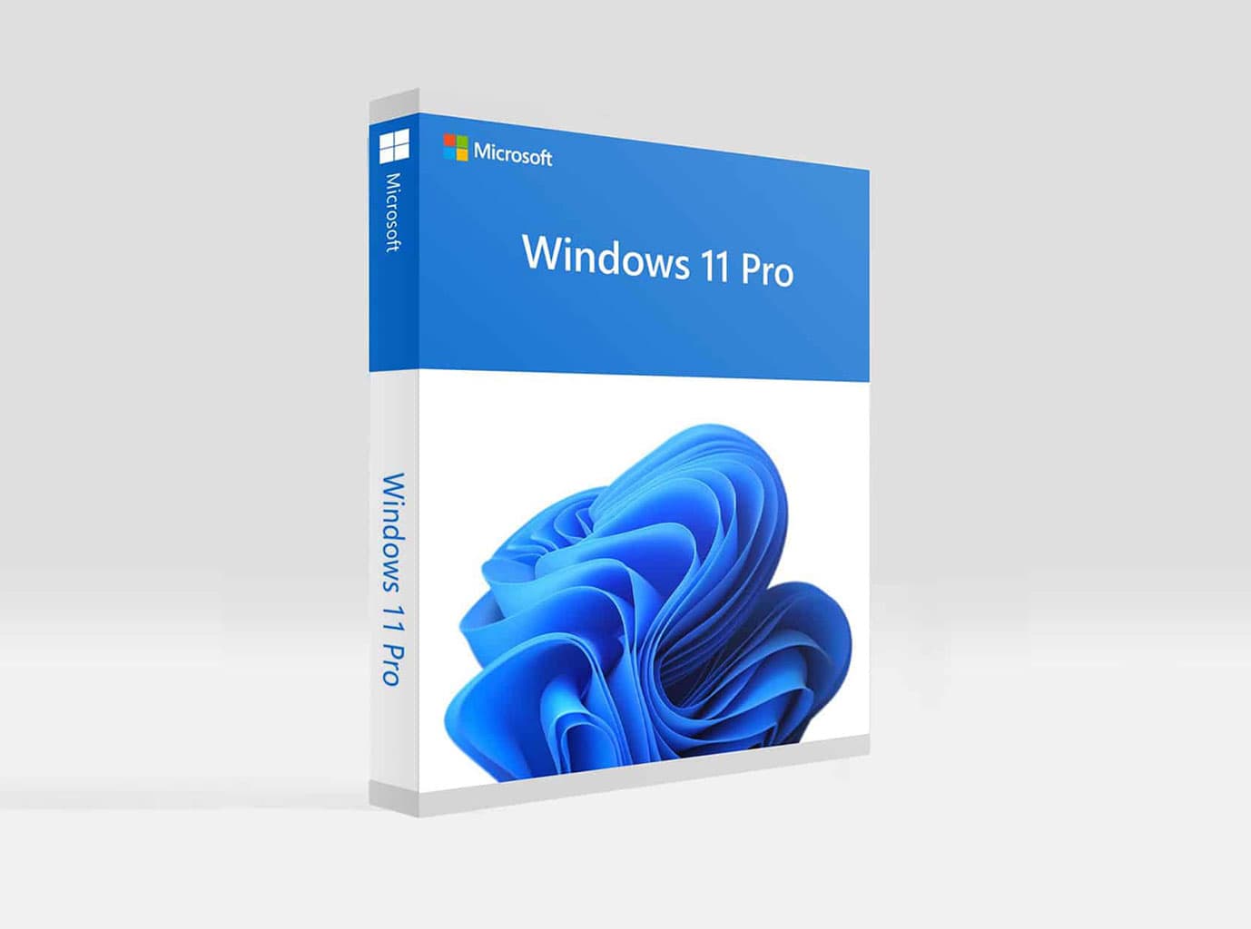 Microsoft Windows 11 Pro